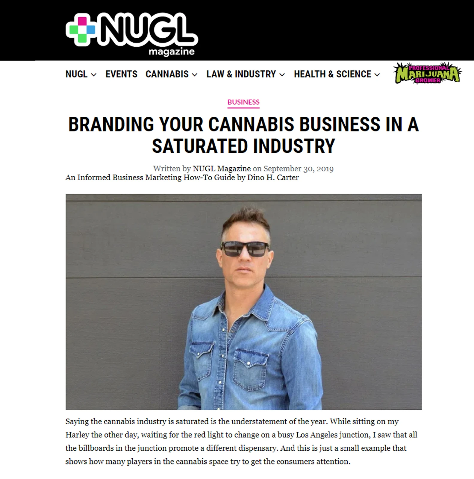 Cannabis branding expert