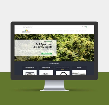 Website Design